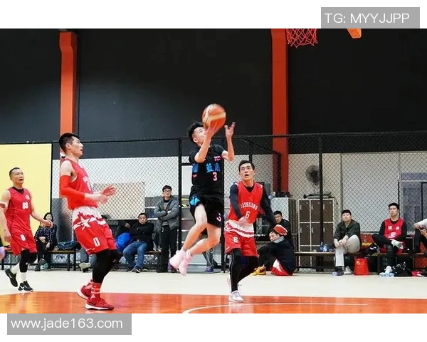 南京篮球队总决赛精彩配合分析与战术解读