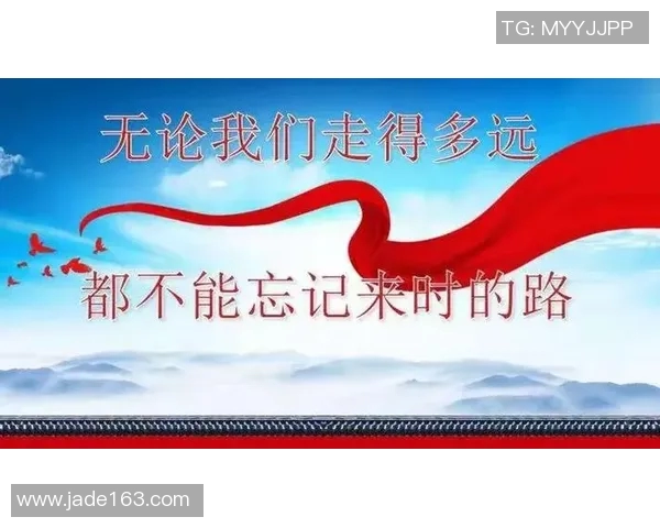 广州篮球队的奋斗历程与总决赛背后的成长启示